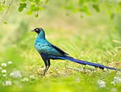 Sue Hsu's photo